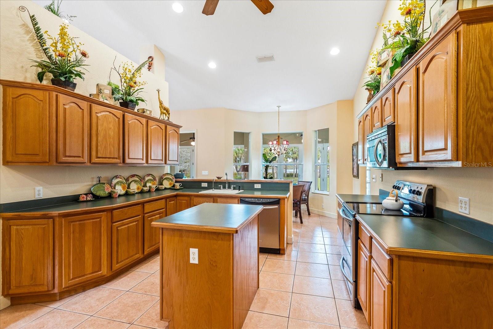 9229 LAKE HICKORY NUT DR, WINTER GARDEN, FL, 34787