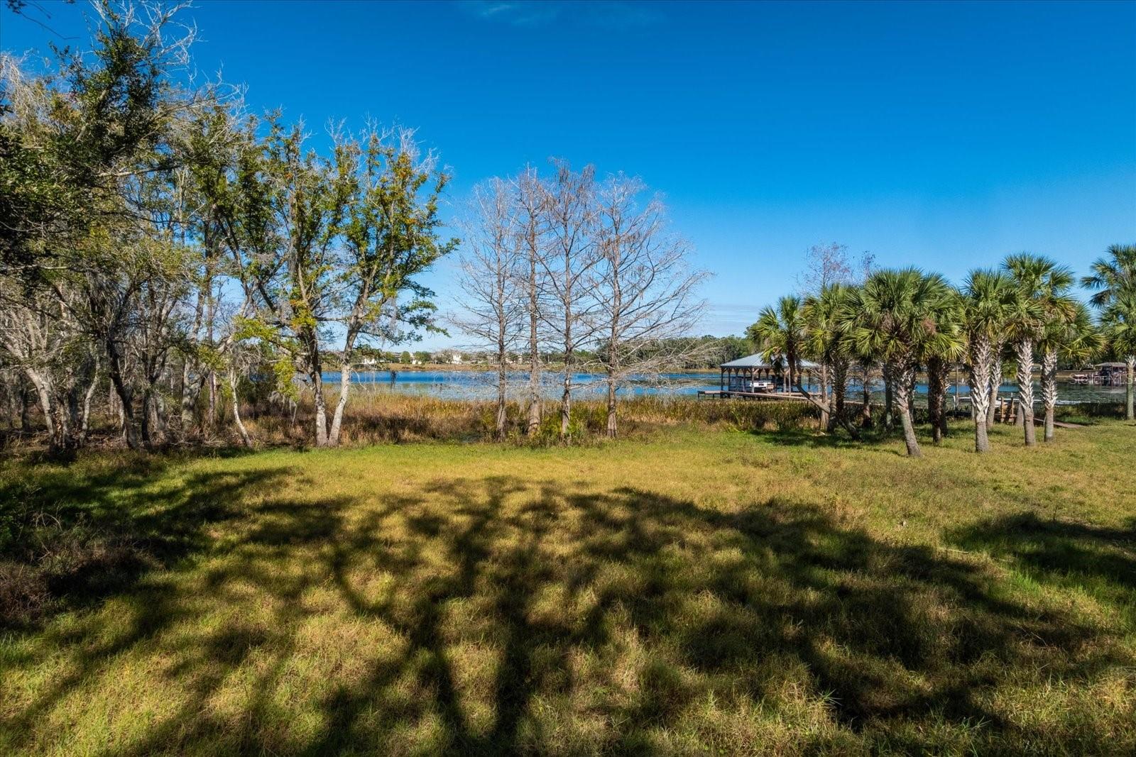 9229 LAKE HICKORY NUT DR, WINTER GARDEN, FL, 34787