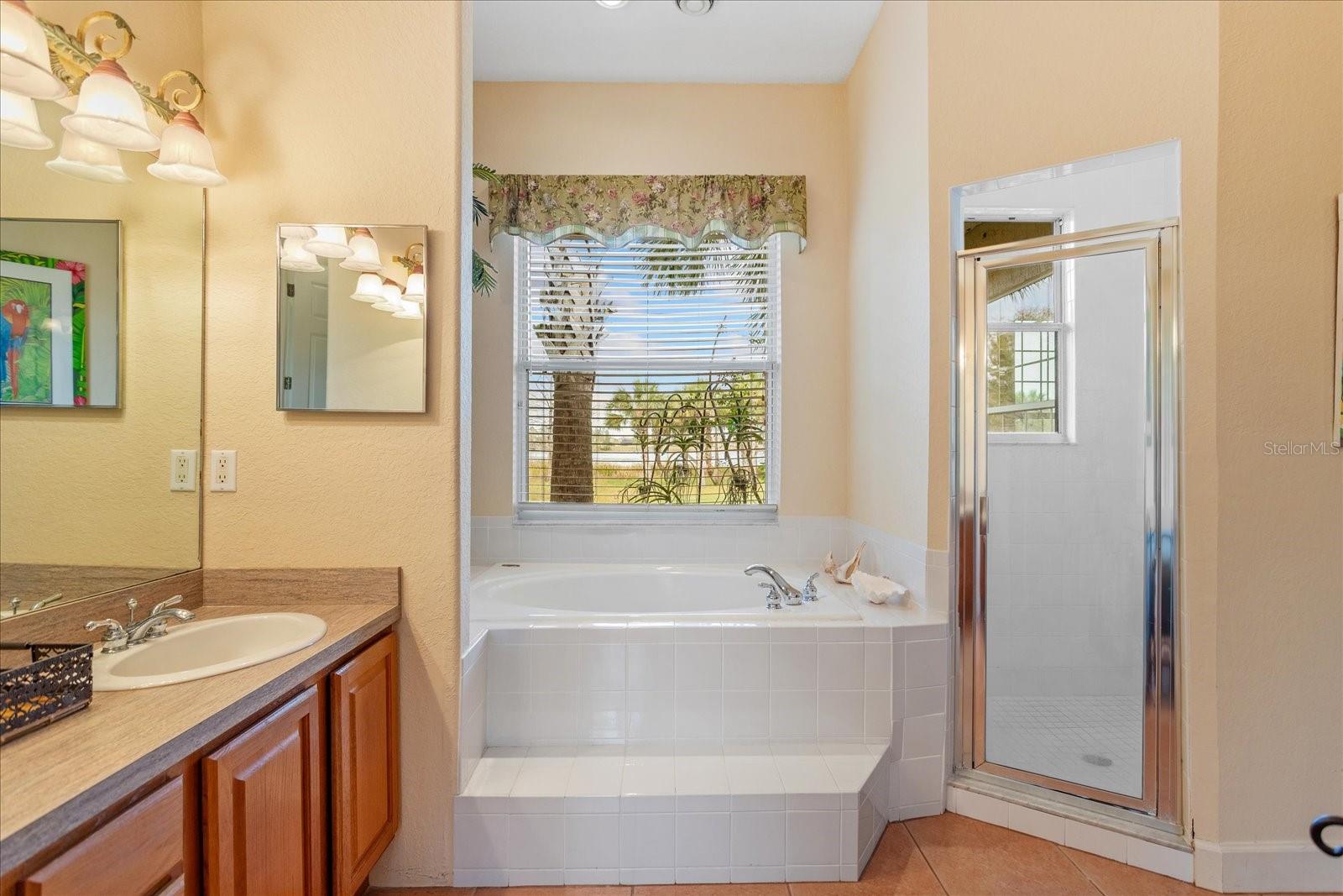 9229 LAKE HICKORY NUT DR, WINTER GARDEN, FL, 34787