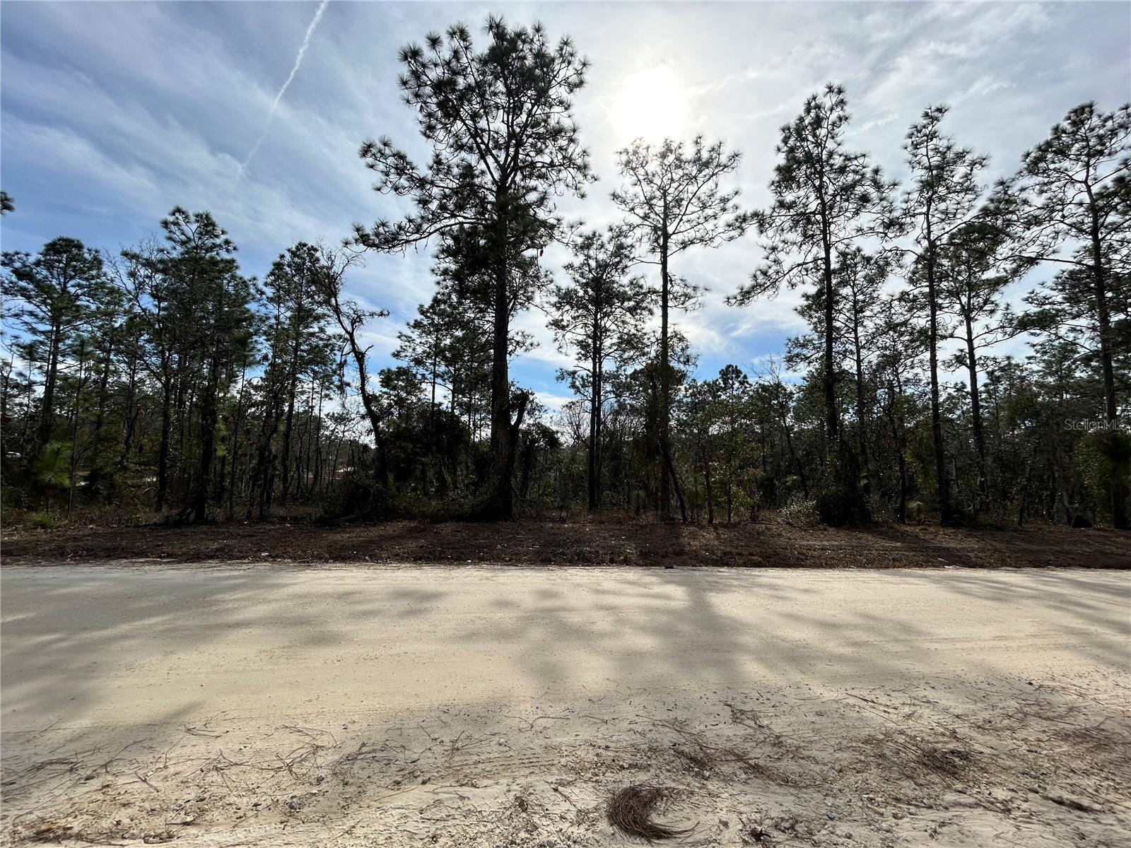 TBD SE 23RD PL, MORRISTON, FL, 32668