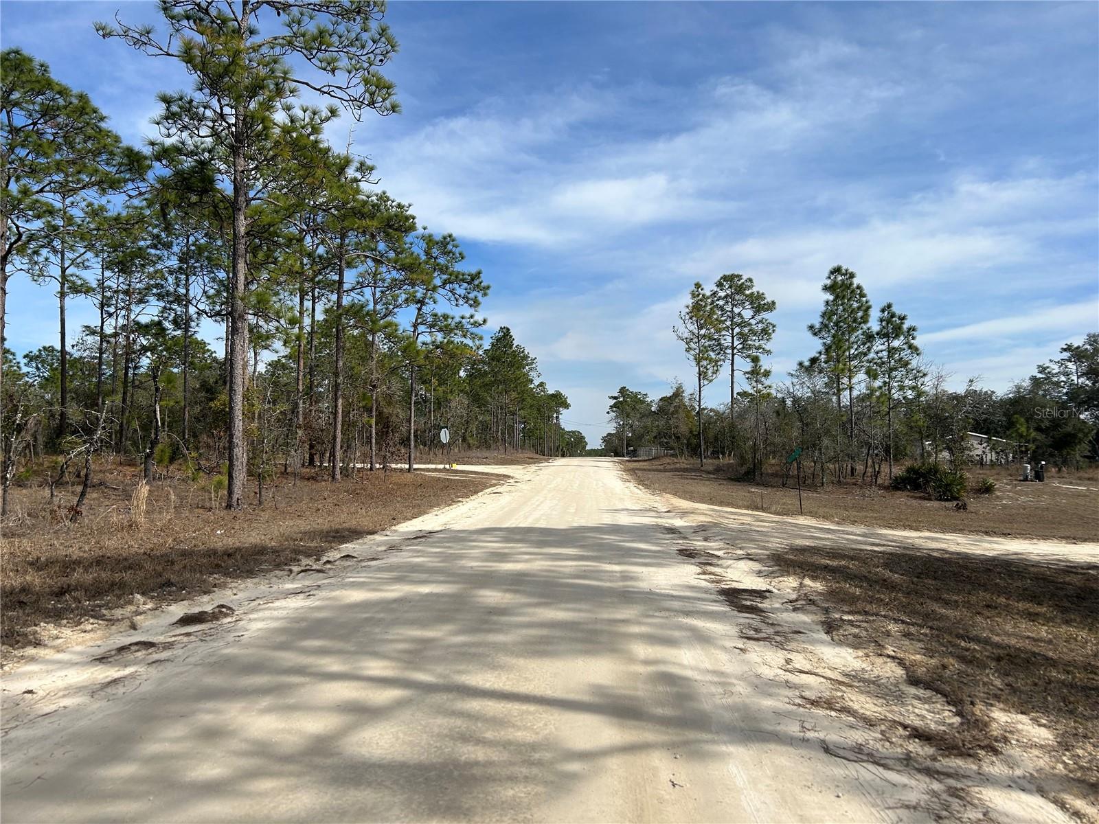 TBD SE 23RD PL, MORRISTON, FL, 32668