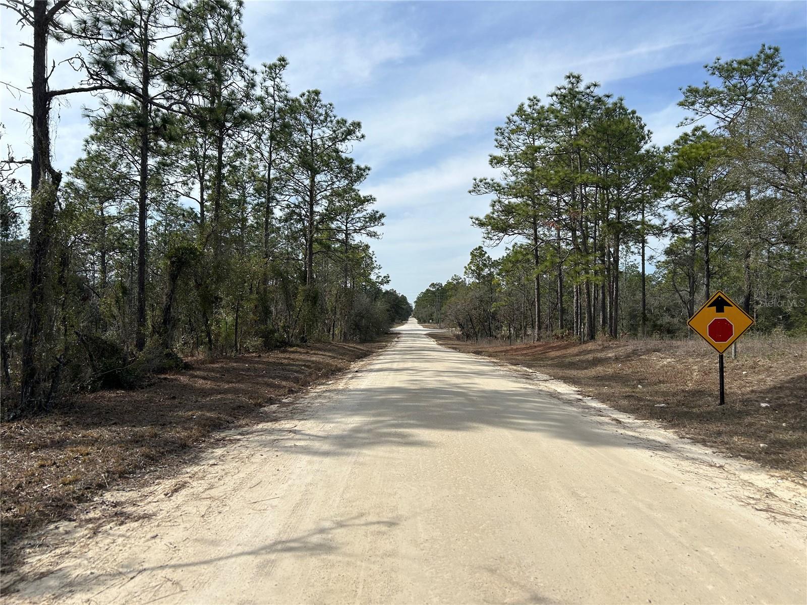 TBD SE 23RD PL, MORRISTON, FL, 32668