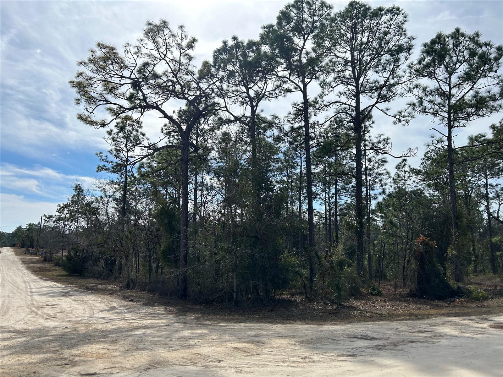 TBD SE 23RD PL, MORRISTON, FL, 32668