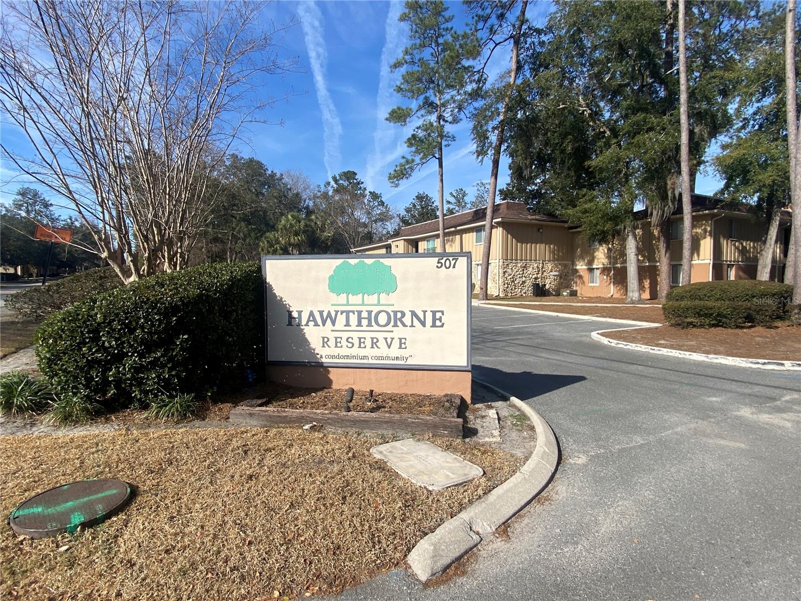 507 NW 39TH RD #116, GAINESVILLE, FL, 32607