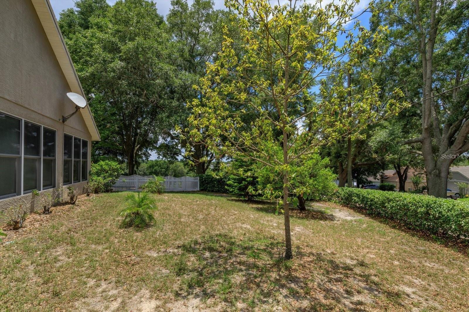 2104 CRANBERRY ISLES WAY, APOPKA, FL, 32712