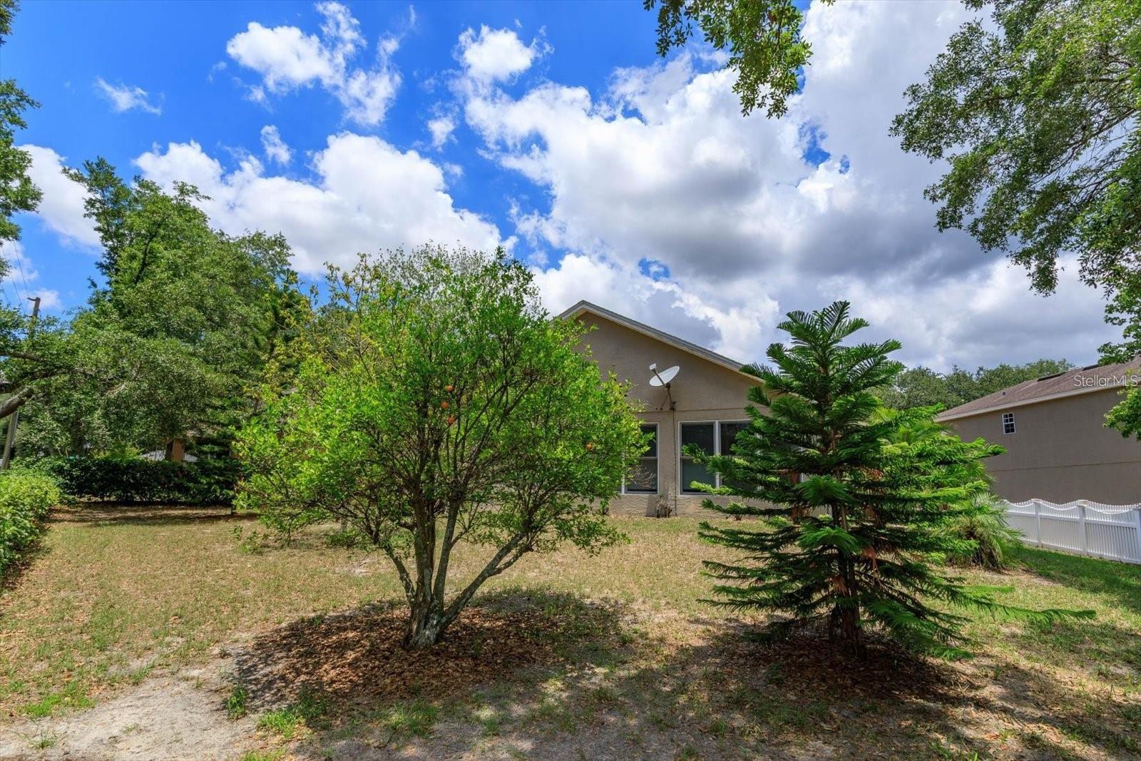 2104 CRANBERRY ISLES WAY, APOPKA, FL, 32712