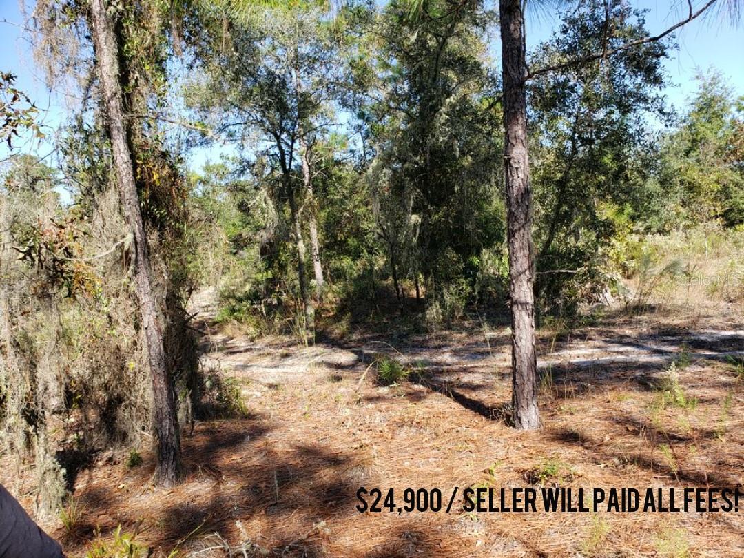 96TH ST, ARCHER, FL, 32618