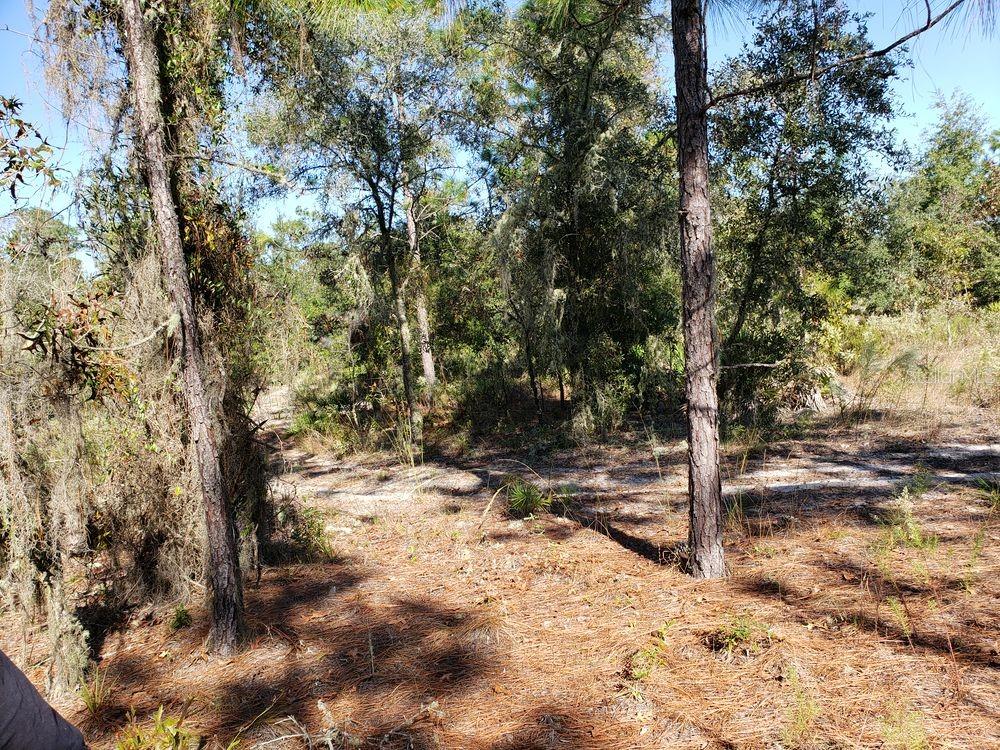 96TH ST, ARCHER, FL, 32618