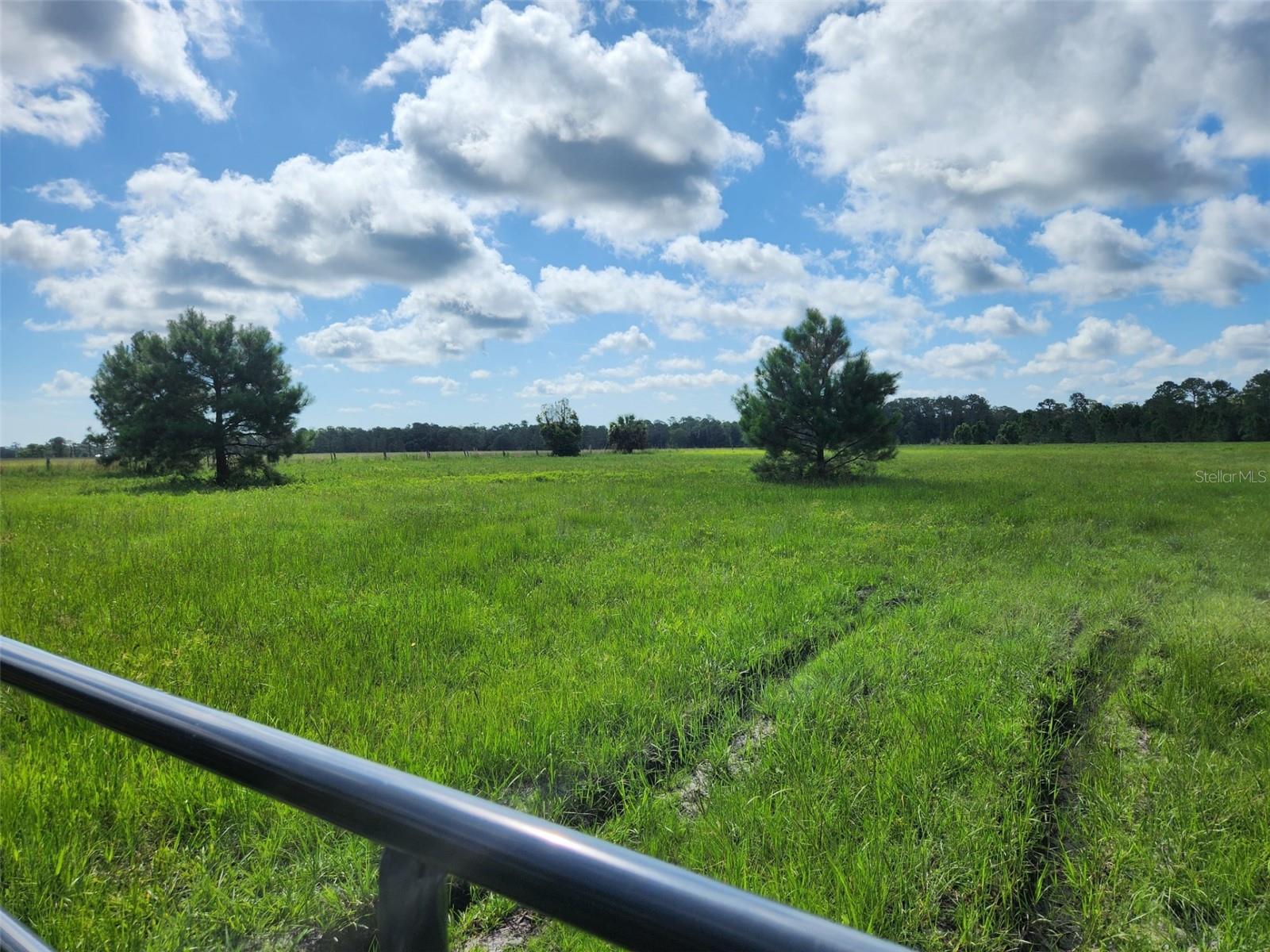 20700 WIYGUL RD, UMATILLA, FL, 32784