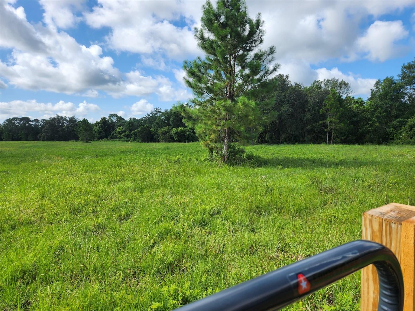 20700 WIYGUL RD, UMATILLA, FL, 32784