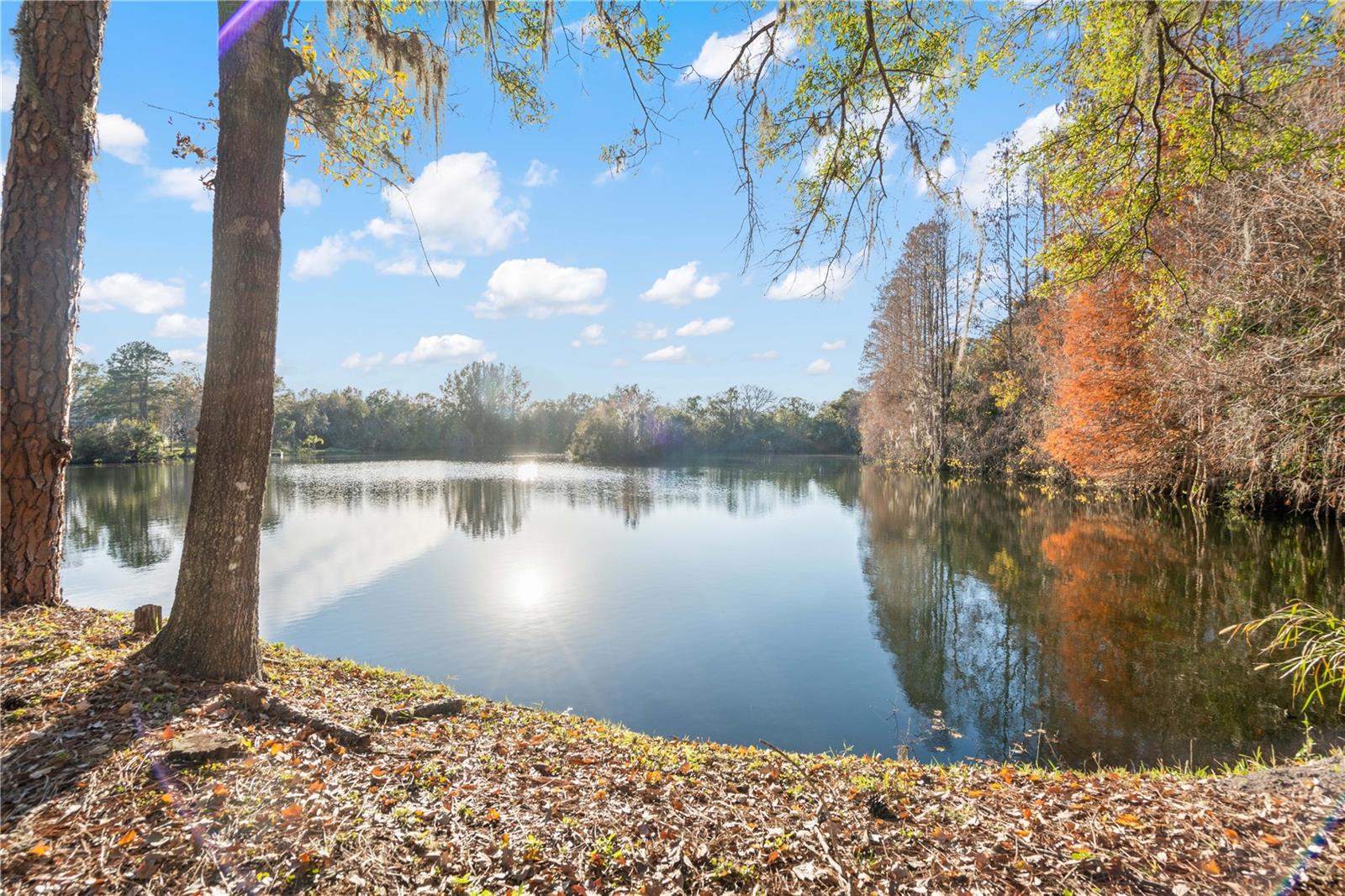 14926 LAKE FOREST DR, LUTZ, FL, 33559