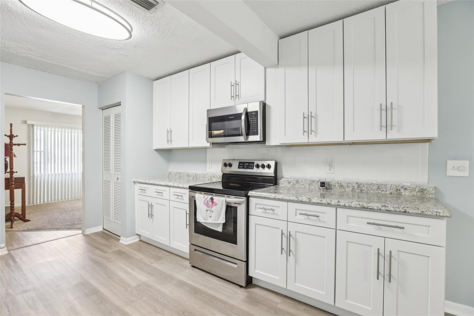 1732 FLAMINGO LN, SUN CITY CENTER, FL, 33573