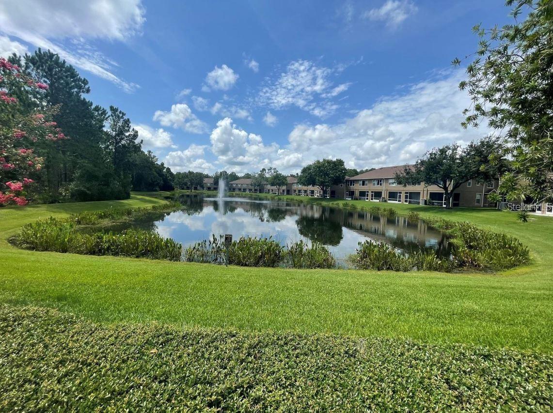 18923 DUQUESNE DR, TAMPA, FL, 33647