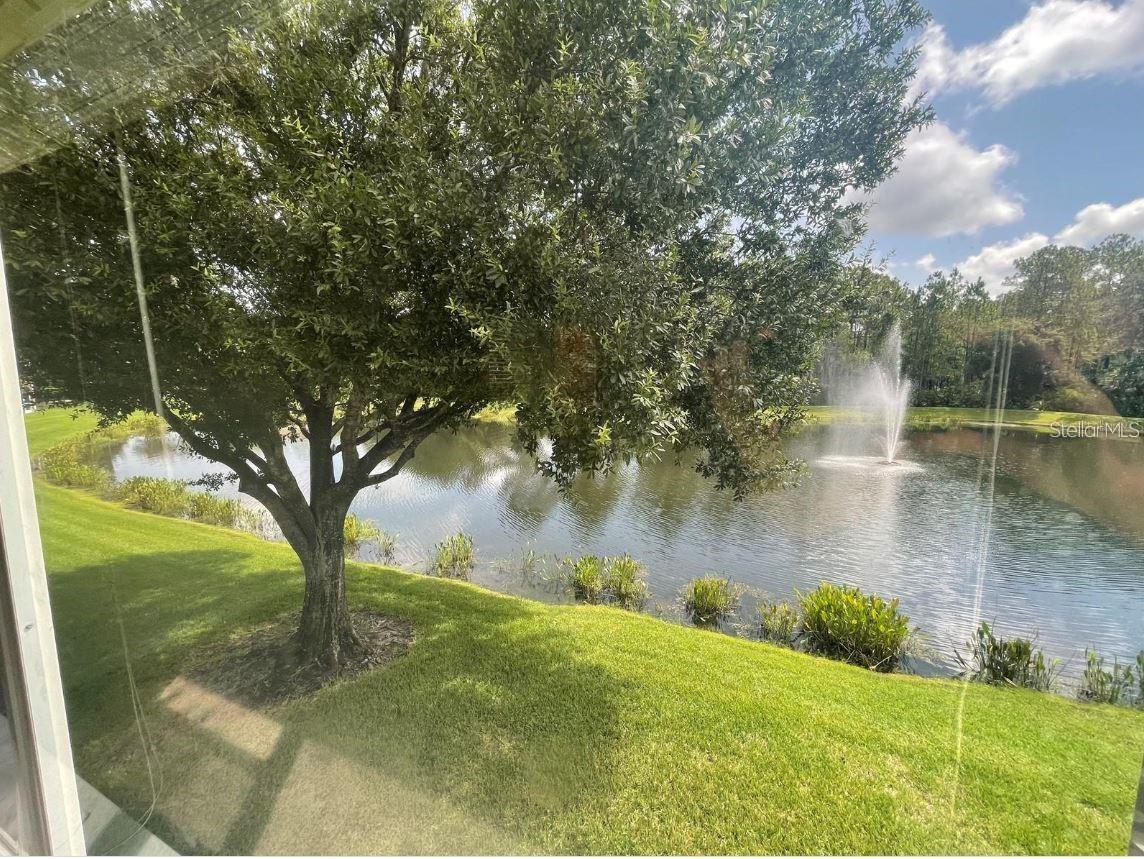 18923 DUQUESNE DR, TAMPA, FL, 33647