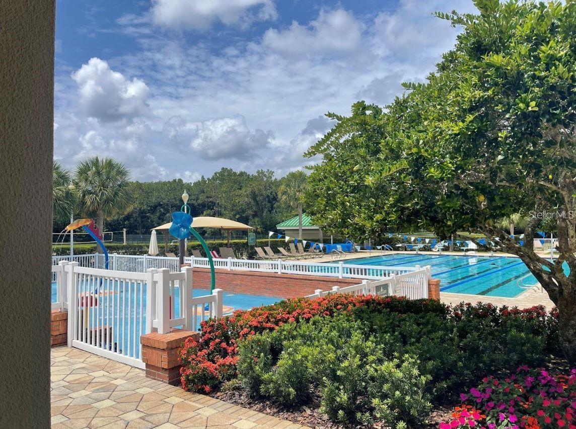 18923 DUQUESNE DR, TAMPA, FL, 33647