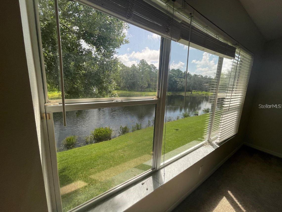 18923 DUQUESNE DR, TAMPA, FL, 33647