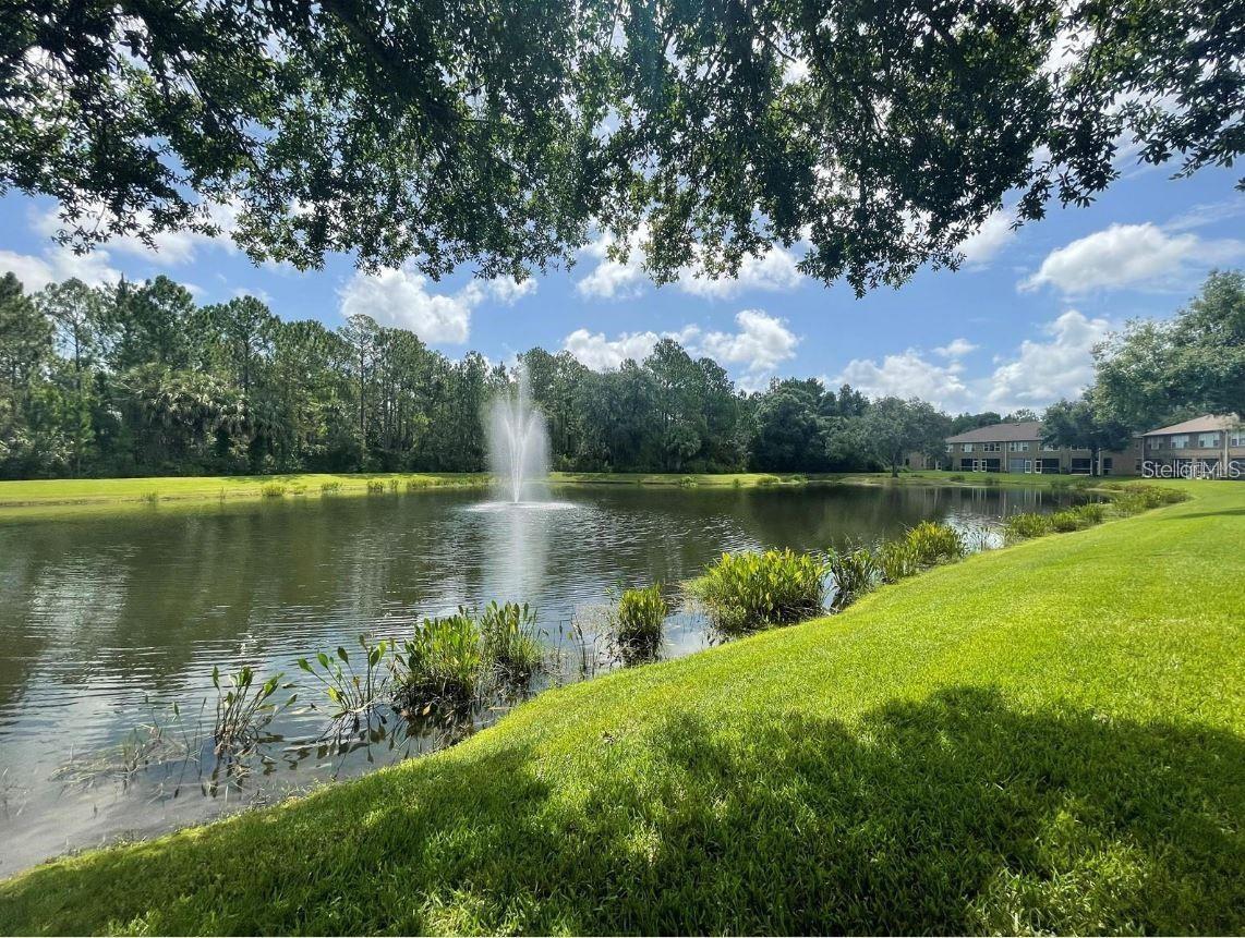 18923 DUQUESNE DR, TAMPA, FL, 33647