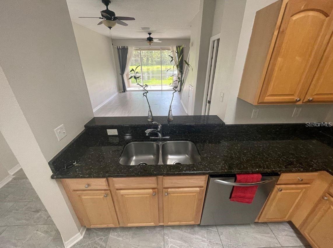 18923 DUQUESNE DR, TAMPA, FL, 33647