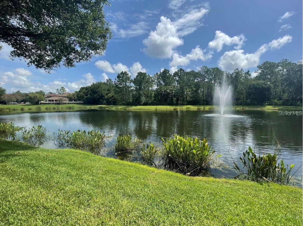 18923 DUQUESNE DR, TAMPA, FL, 33647