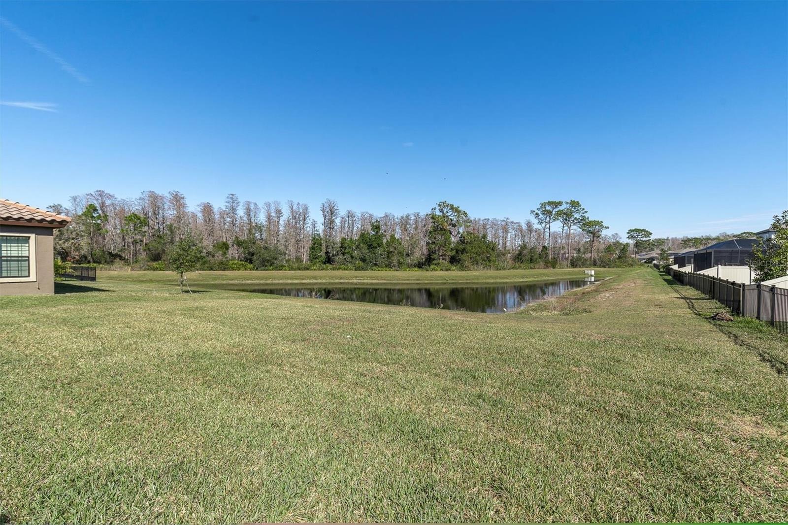 4275 BURDICK LOOP, ODESSA, FL, 33556