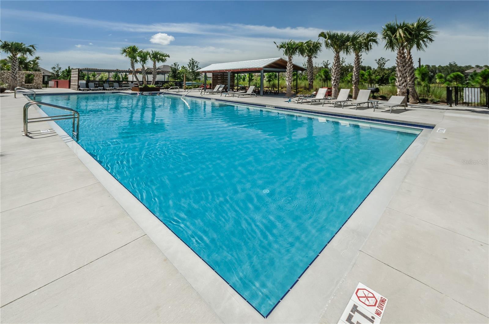 4275 BURDICK LOOP, ODESSA, FL, 33556