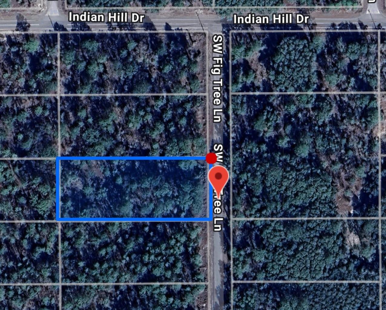 FIG TREE LN, DUNNELLON, FL, 34431