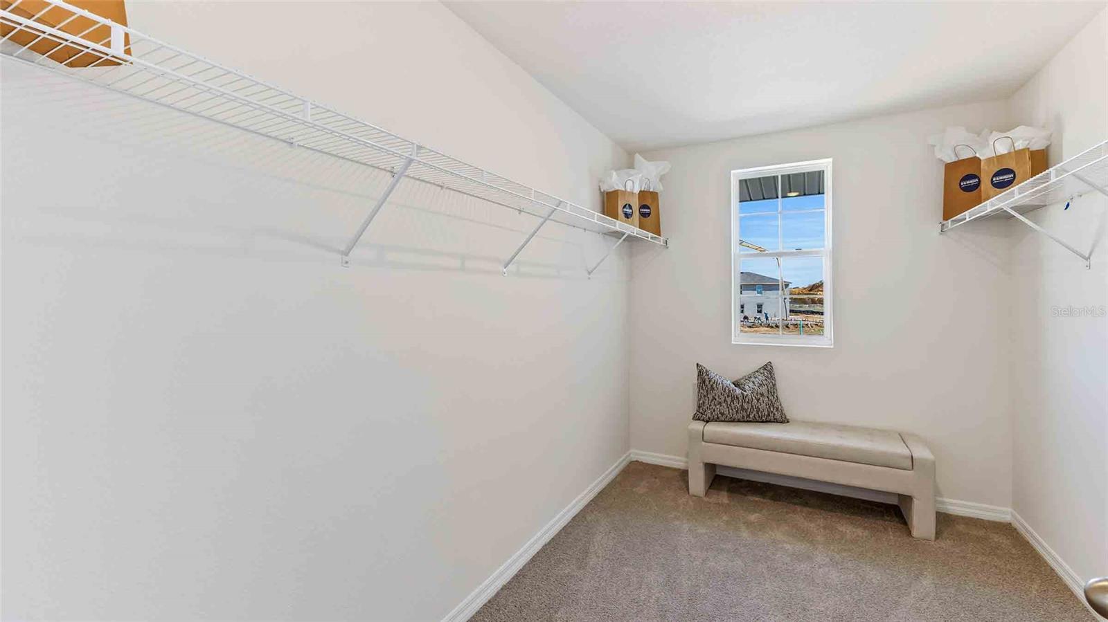 6981 BROAD RIVER AVE, LAND O LAKES, FL, 34638