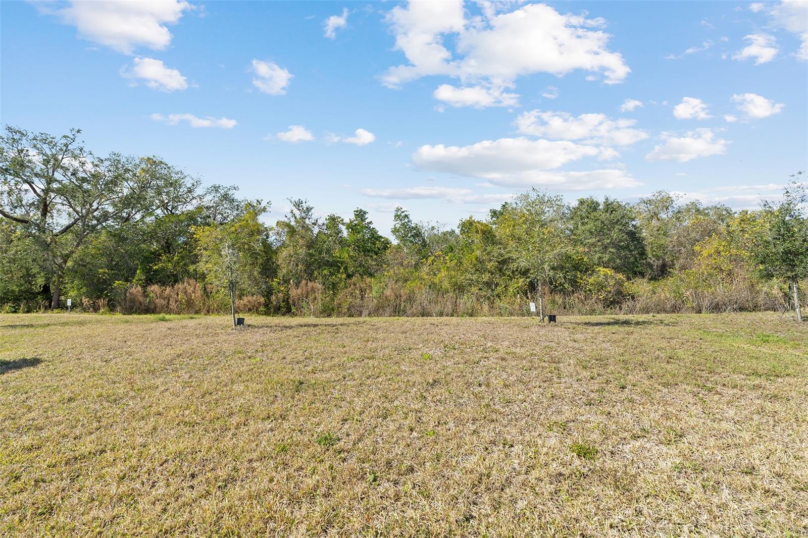 2124 LIVE OAK LAKE RD, ST CLOUD, FL, 34771