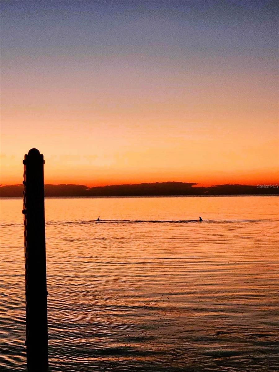 13737 MICHELLE AVE, HUDSON, FL, 34667