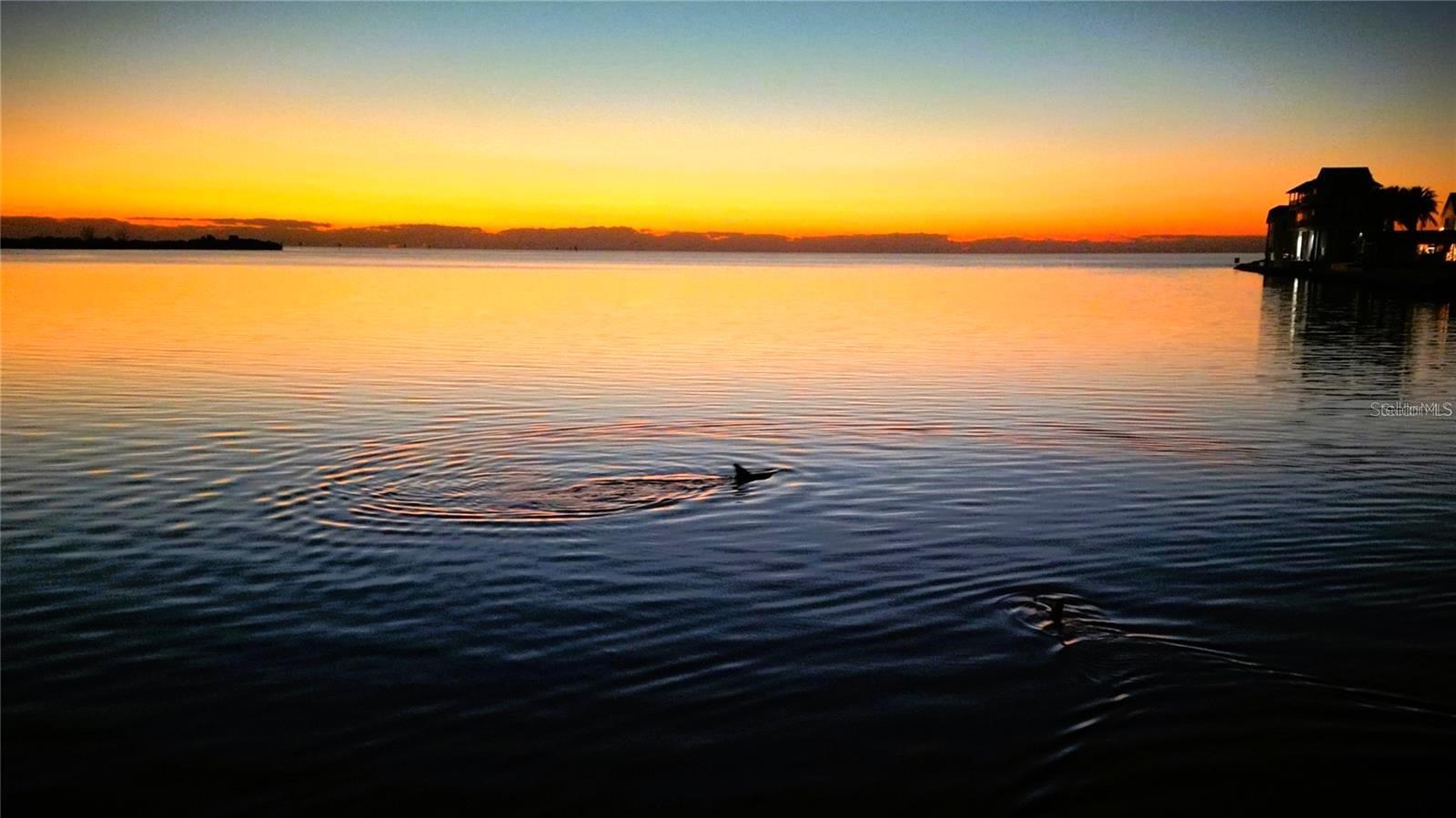 13737 MICHELLE AVE, HUDSON, FL, 34667