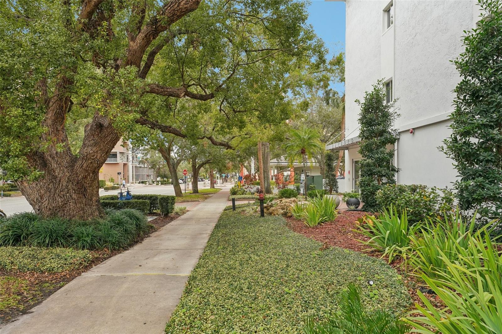 210 5TH AVE S #307, ST PETERSBURG, FL, 33701