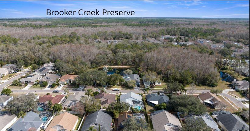 3979 JENITA DR, PALM HARBOR, FL, 34685