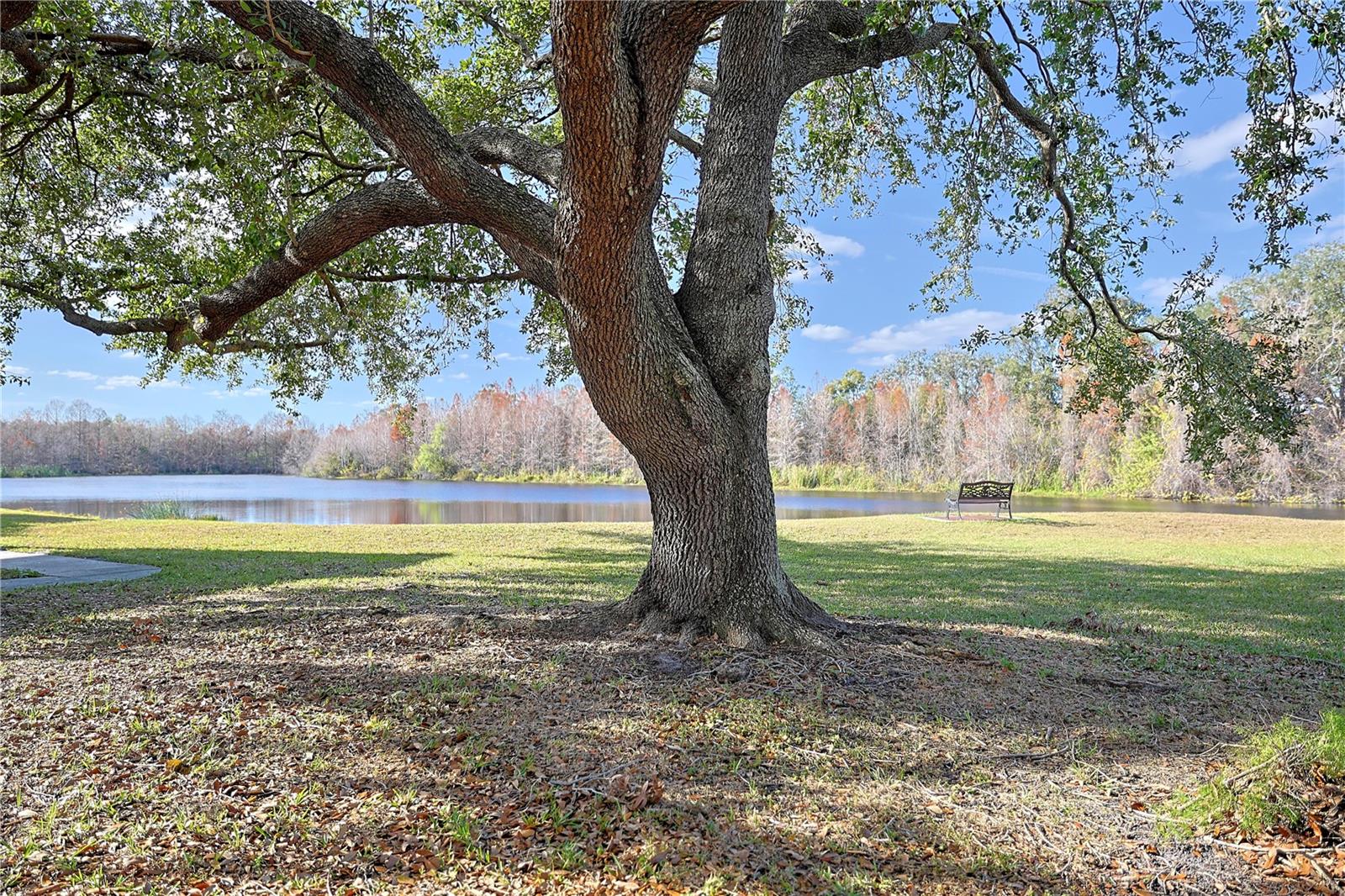 4668 TOWER PINE RD ##GE, ORLANDO, FL, 32839