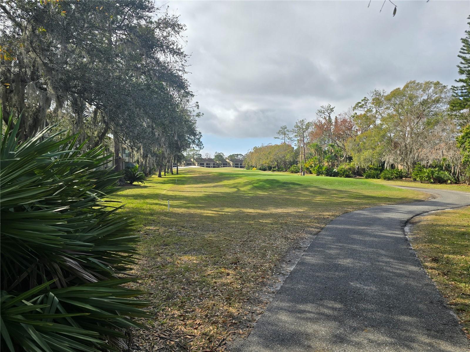 1294 CLAYS TRL #1294, OLDSMAR, FL, 34677