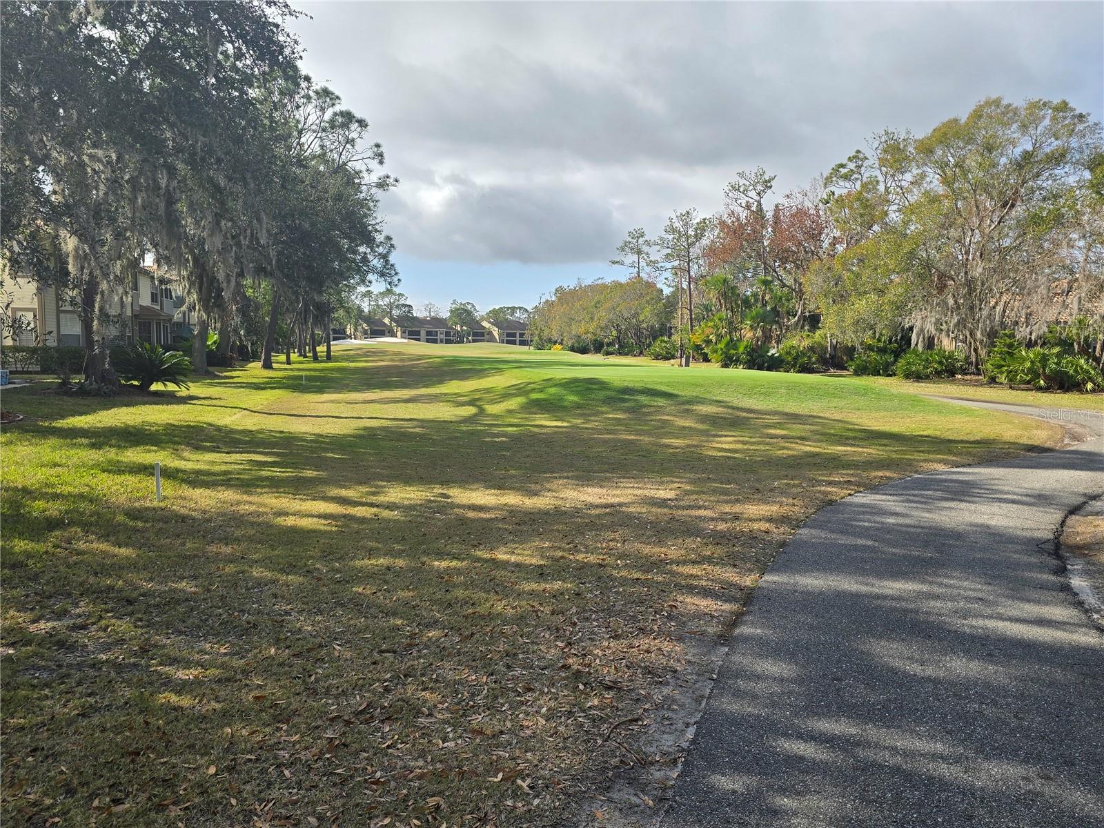 1294 CLAYS TRL #1294, OLDSMAR, FL, 34677