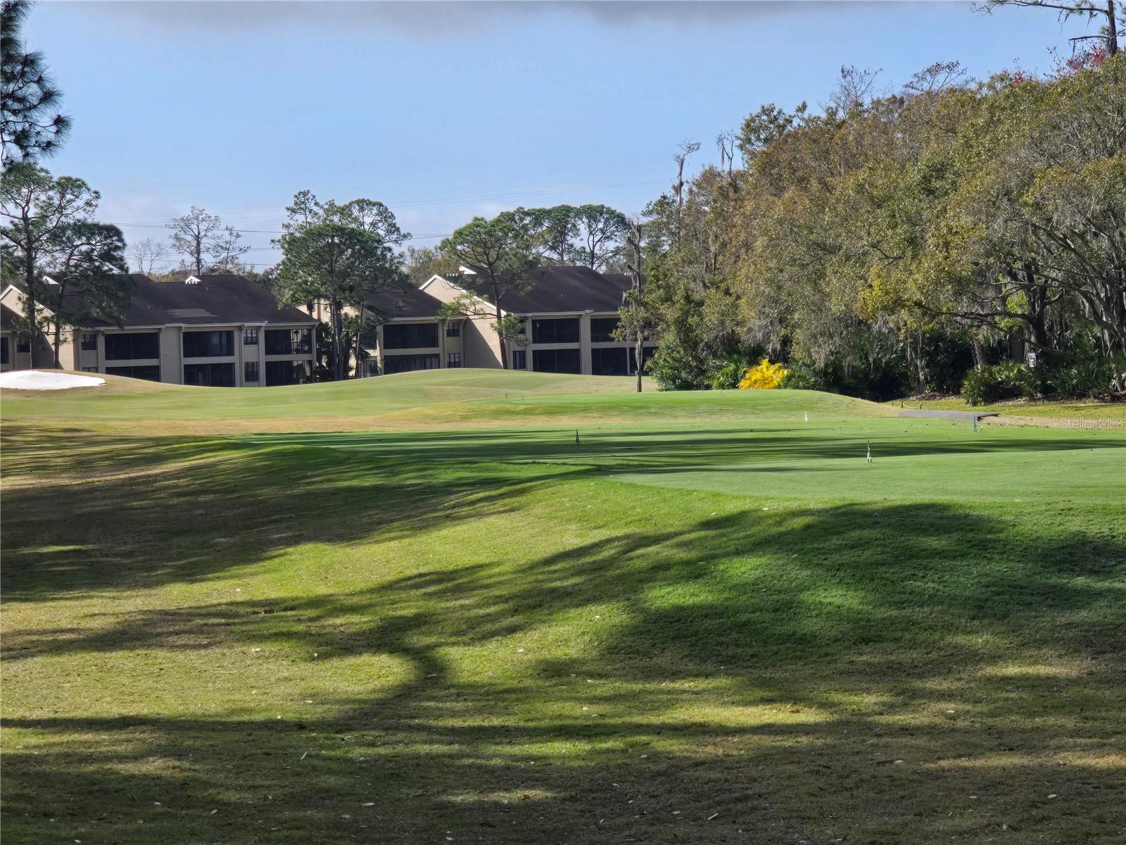 1294 CLAYS TRL #1294, OLDSMAR, FL, 34677