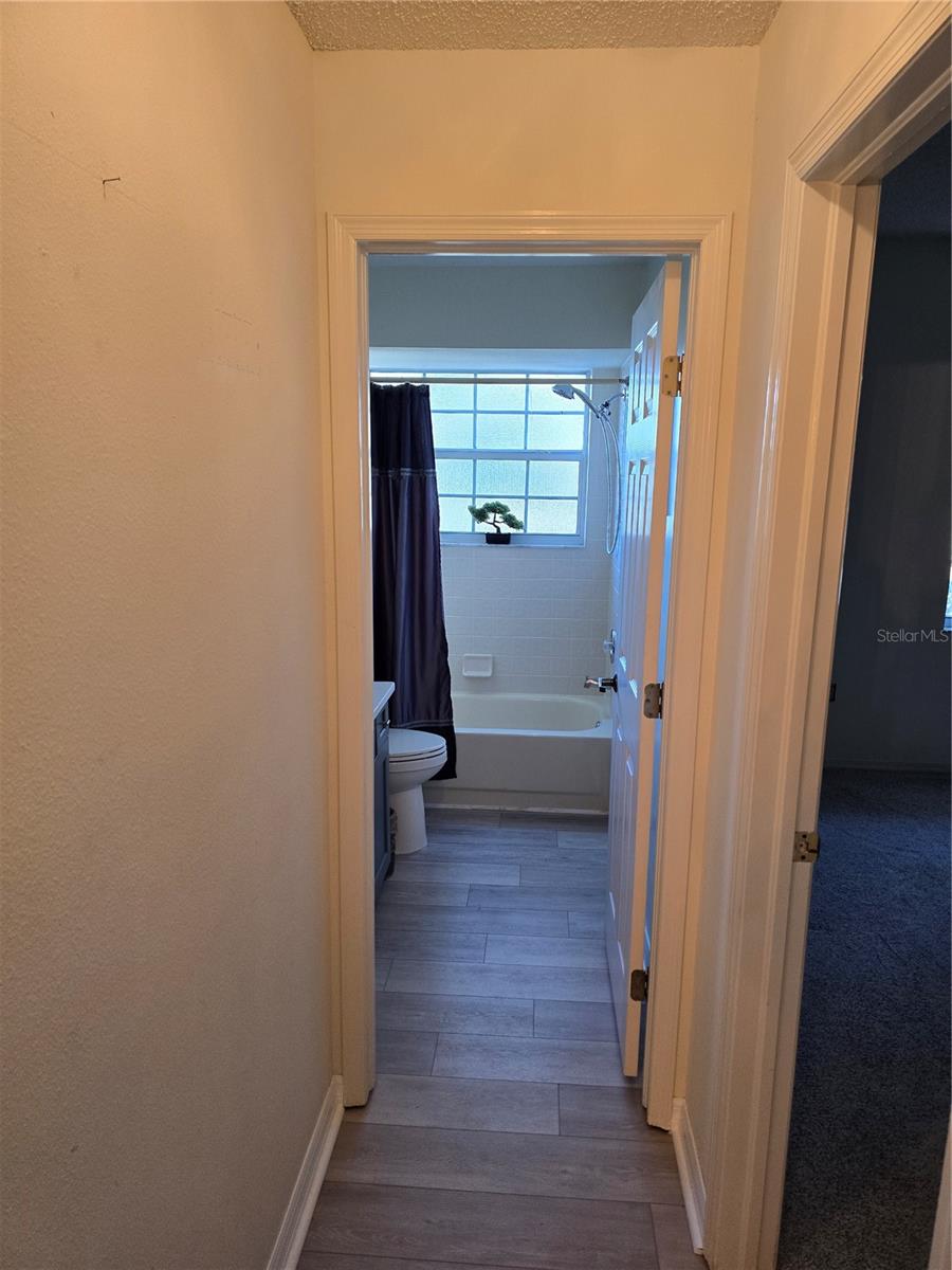 1294 CLAYS TRL #1294, OLDSMAR, FL, 34677