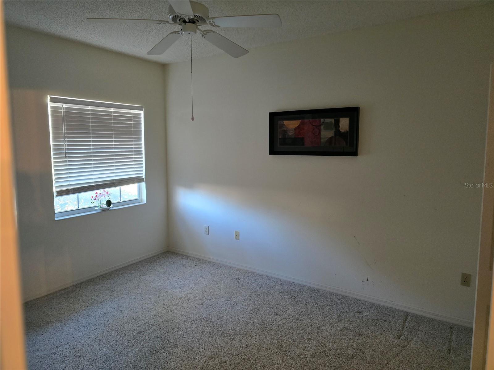 1294 CLAYS TRL #1294, OLDSMAR, FL, 34677