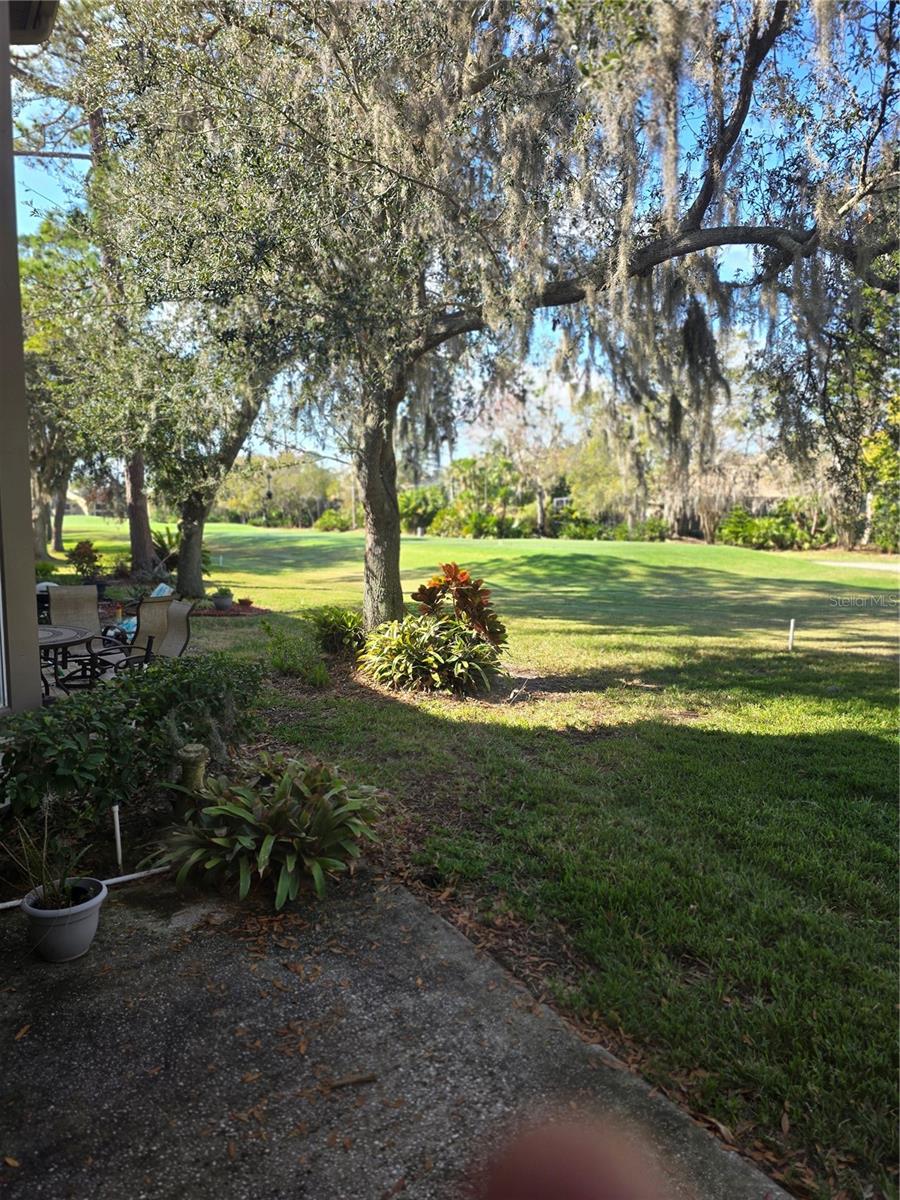 1294 CLAYS TRL #1294, OLDSMAR, FL, 34677
