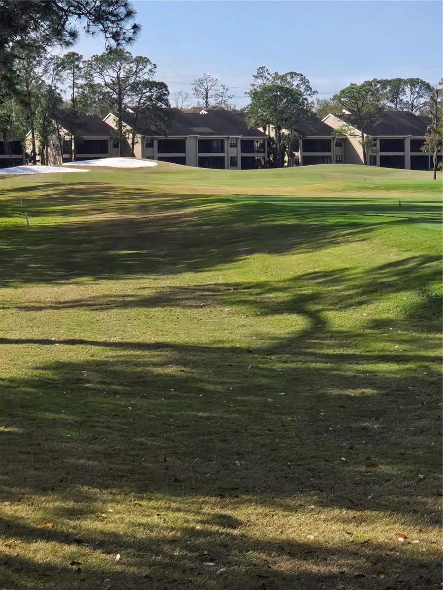 1294 CLAYS TRL #1294, OLDSMAR, FL, 34677