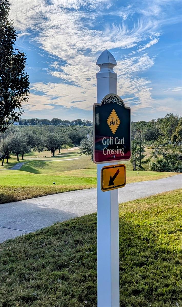 3667 KINGSWOOD CT, CLERMONT, FL, 34711