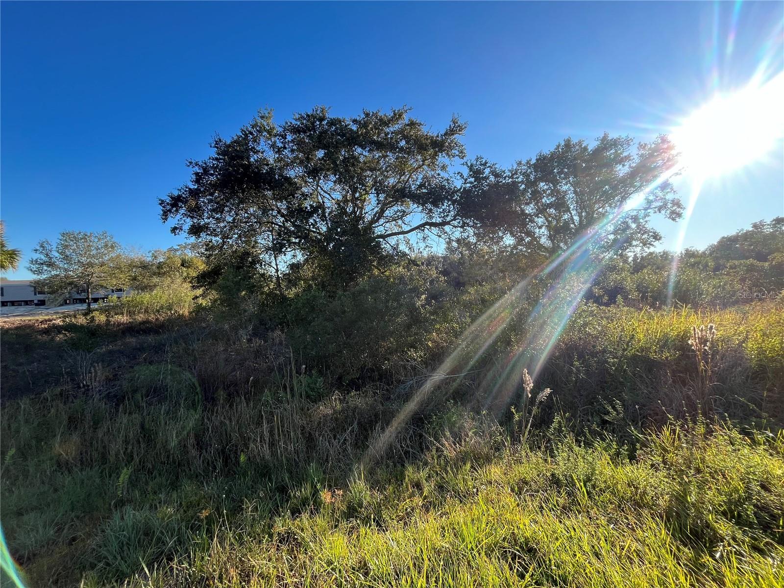 18990 NW 284TH ST, OKEECHOBEE, FL, 34972