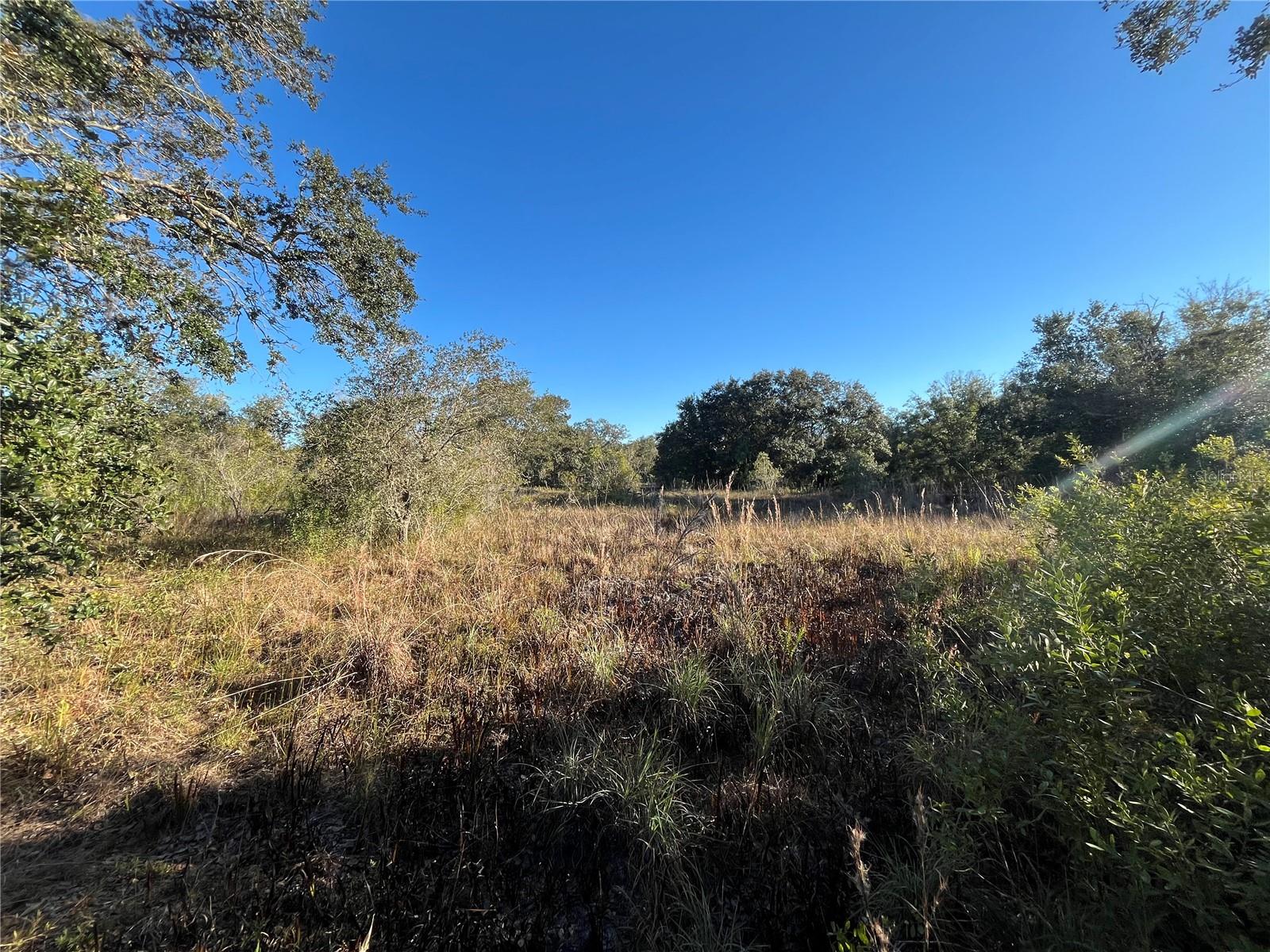 18990 NW 284TH ST, OKEECHOBEE, FL, 34972