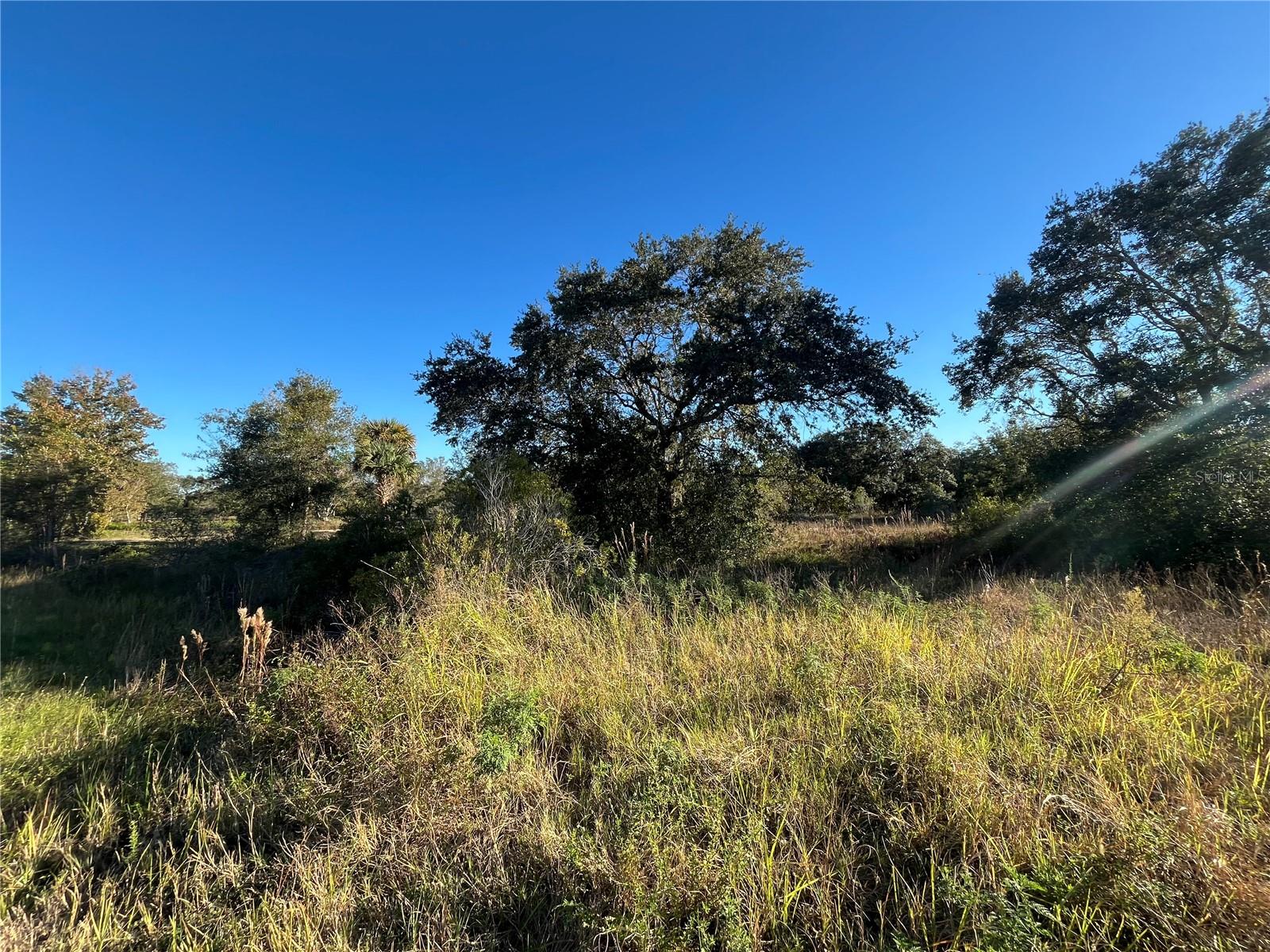 18990 NW 284TH ST, OKEECHOBEE, FL, 34972