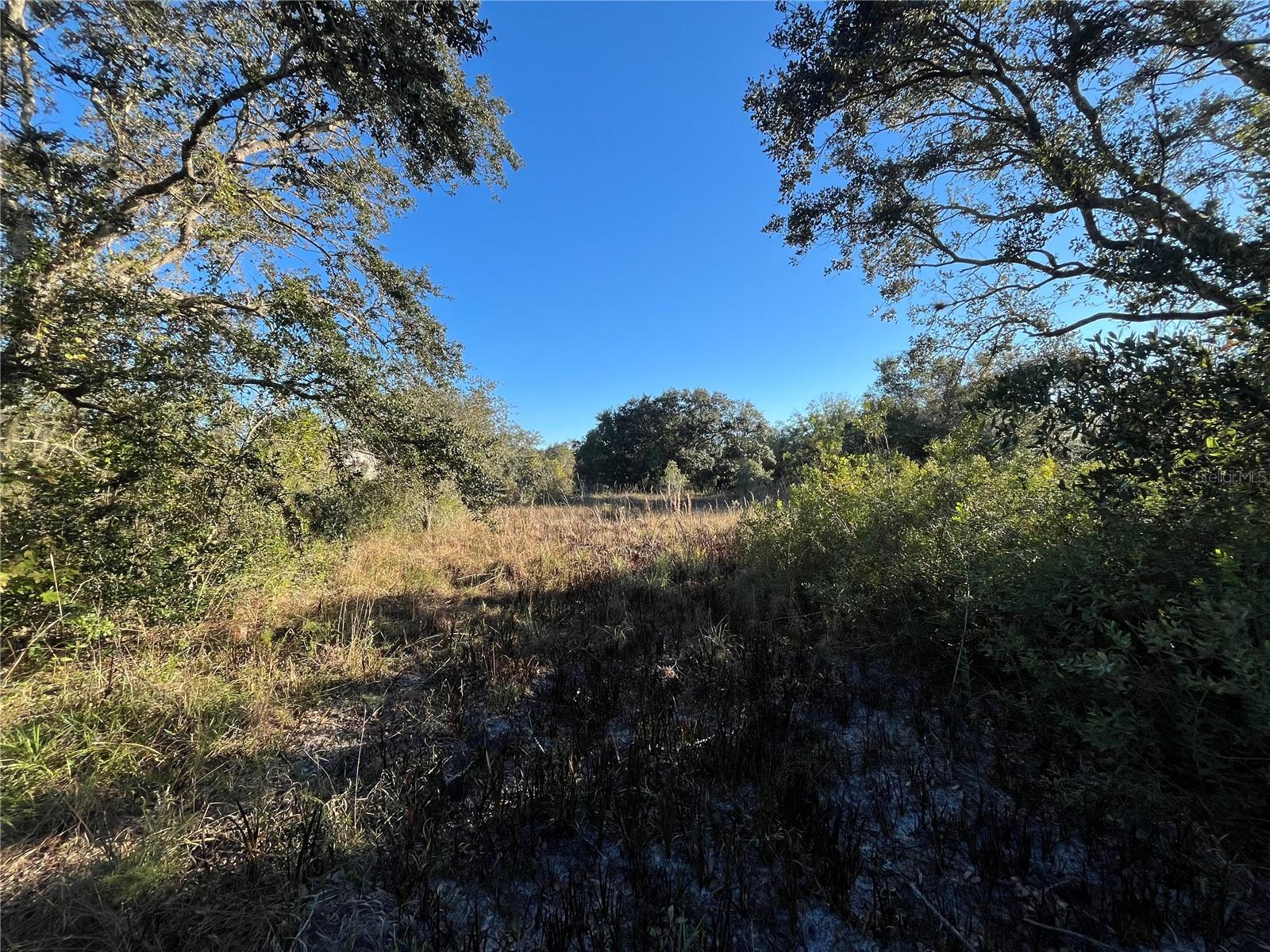 18990 NW 284TH ST, OKEECHOBEE, FL, 34972