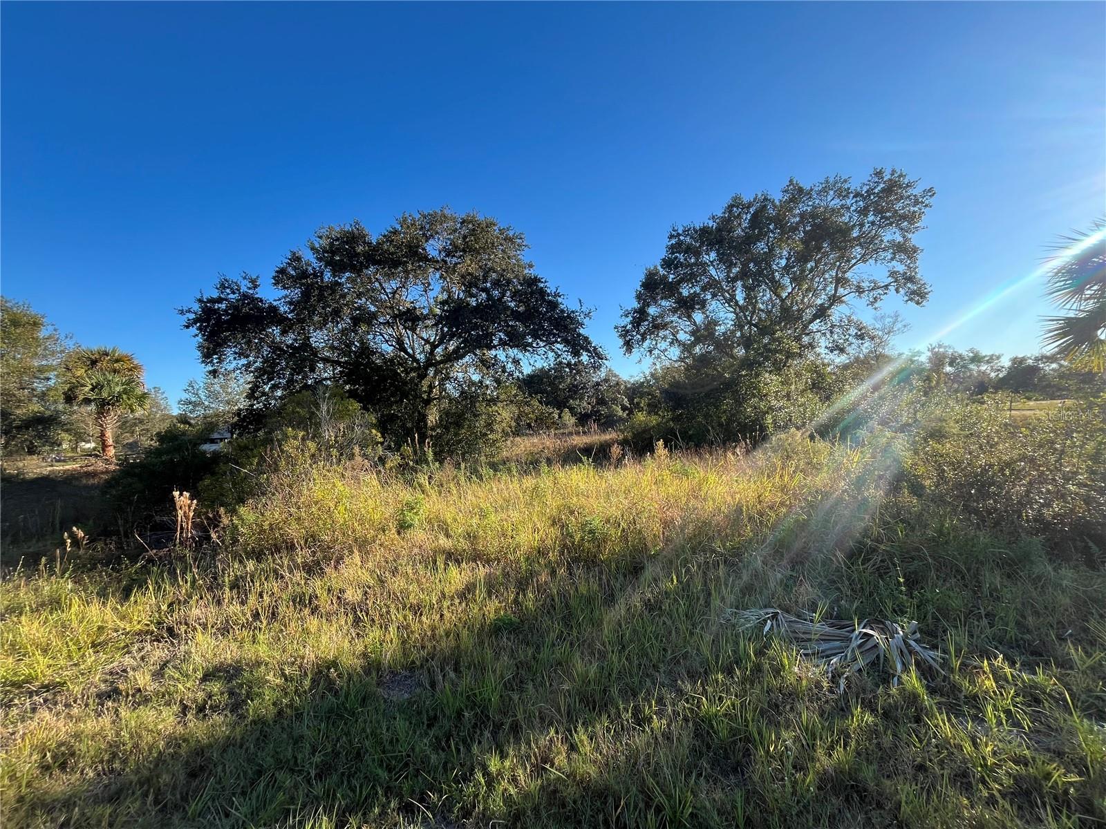 18990 NW 284TH ST, OKEECHOBEE, FL, 34972