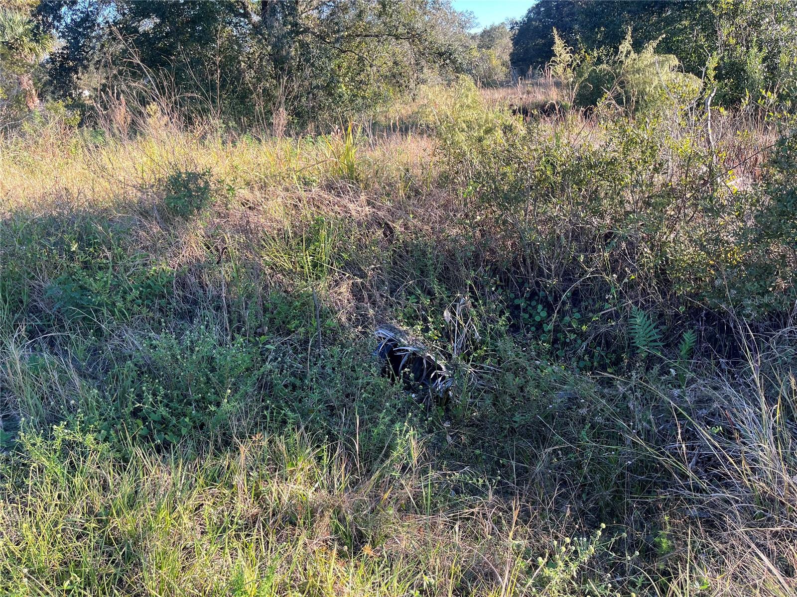 18990 NW 284TH ST, OKEECHOBEE, FL, 34972