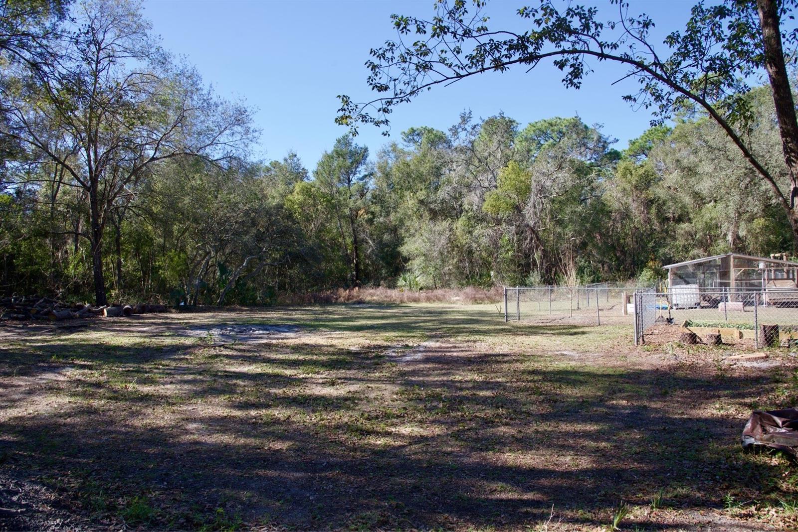 CAYUGA DR, ORANGE CITY, FL, 32763