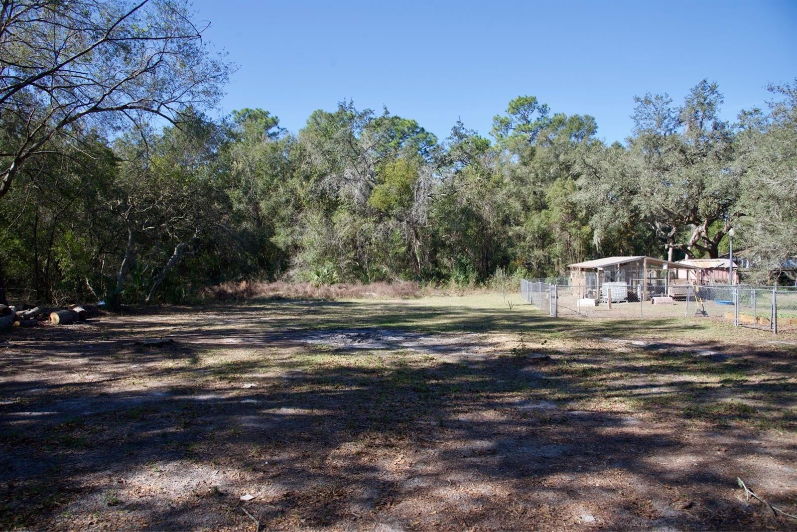 CAYUGA DR, ORANGE CITY, FL, 32763