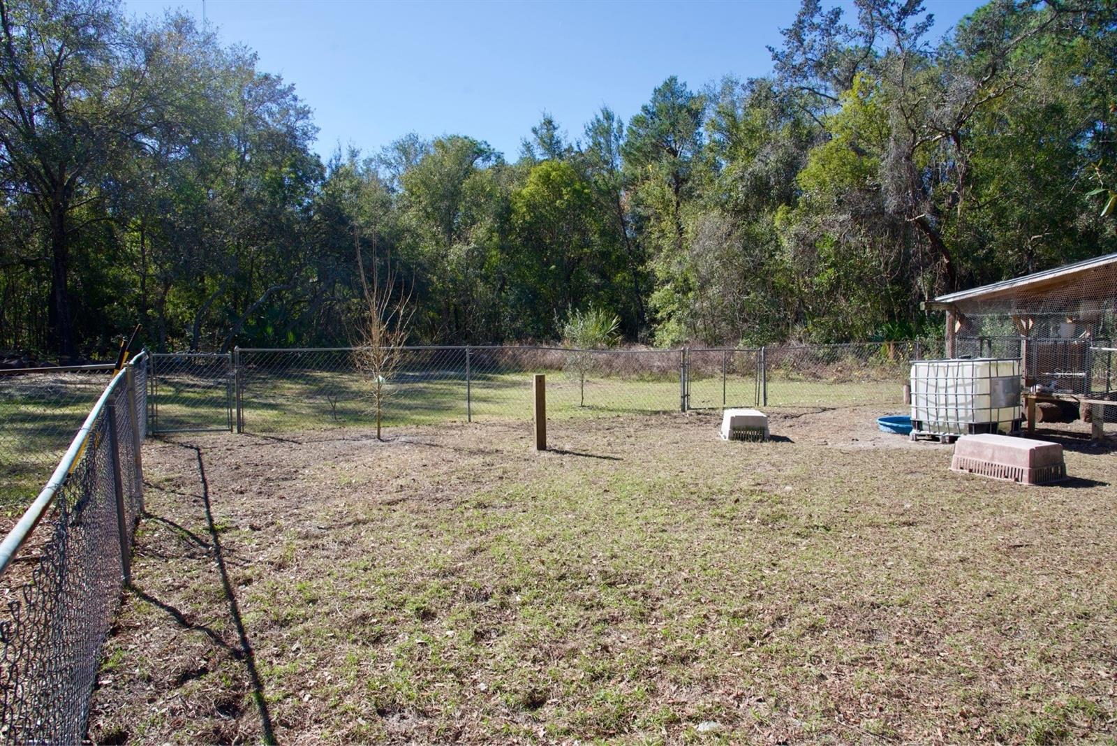 CAYUGA DR, ORANGE CITY, FL, 32763